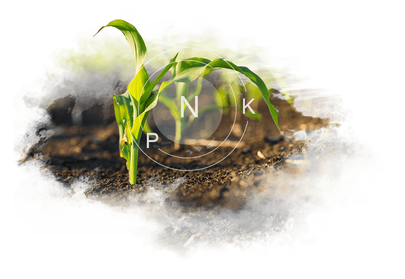 Agronomy Services - Nutrient Management