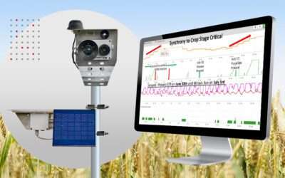Fusarium Head Blight models are a handy and accurate tool in farmer’s pocket.