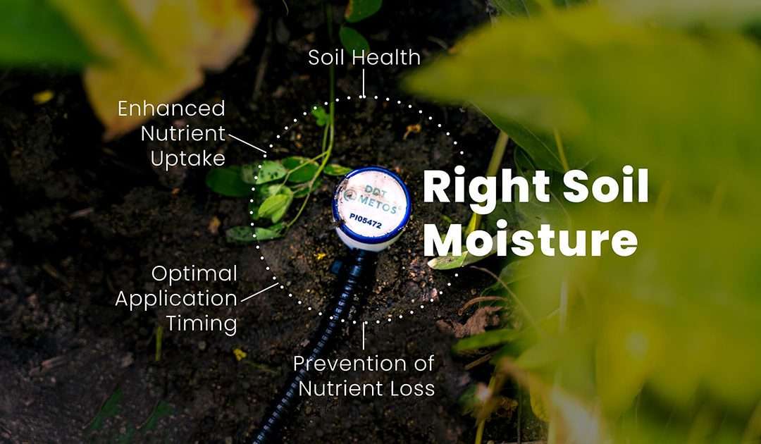A soil moisture probe inserted into the ground in an agricultural field.