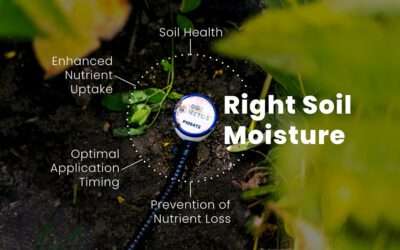 It is time to add the 5th R