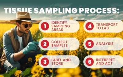 Seeing a Poor Spot in Your Field? Take a Tissue Sample to Find Out Why!