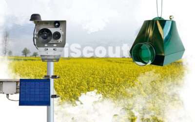 Don’t let the pests trap you. Trap them first!