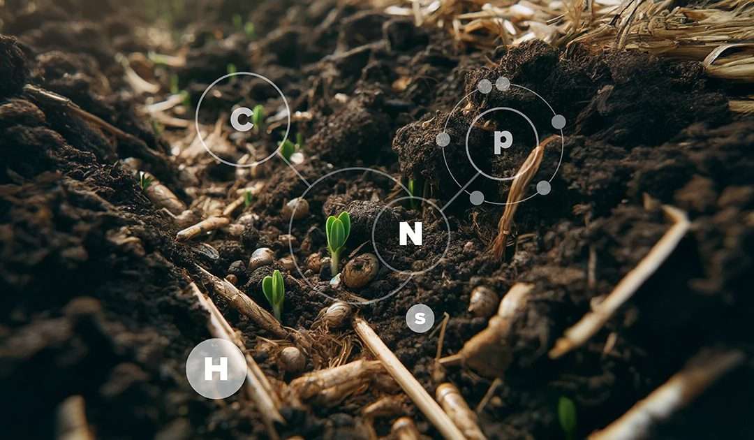 Importance of Soil Organic Matter (OM)