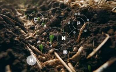 Soil Organic Matter Stability and Its Role in Carbon Storage