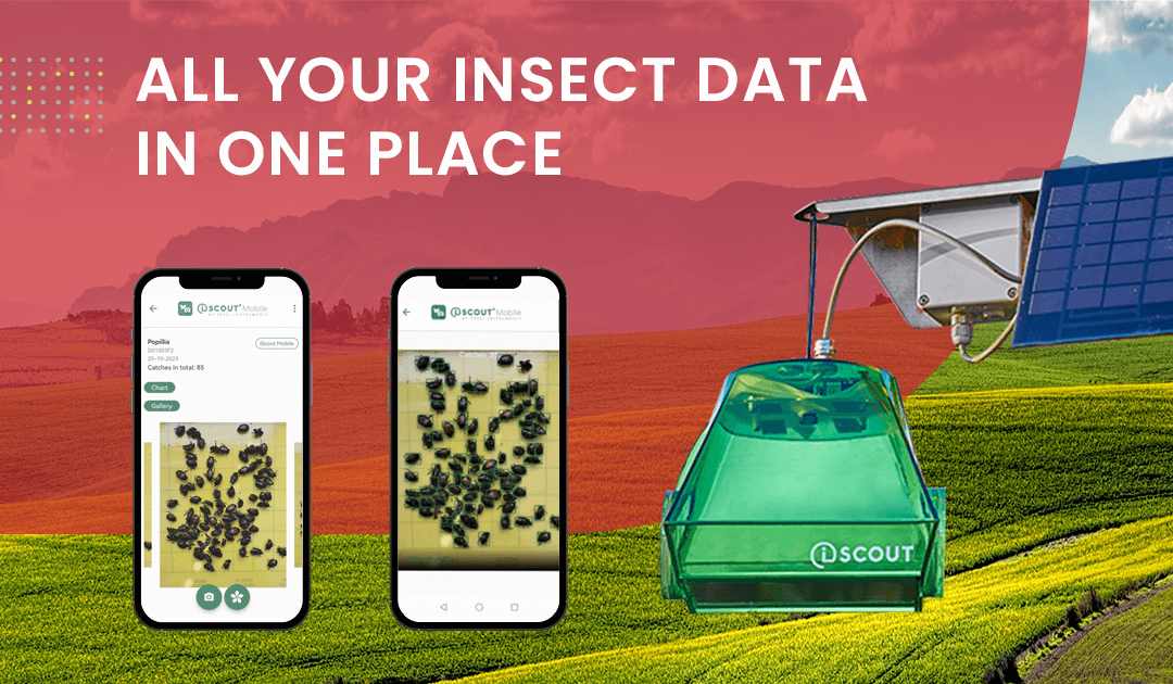 alt="iScout trap and mobile app screenshot"