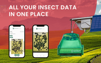 Let Robots Count the Pests: Transforming Agriculture with AI
