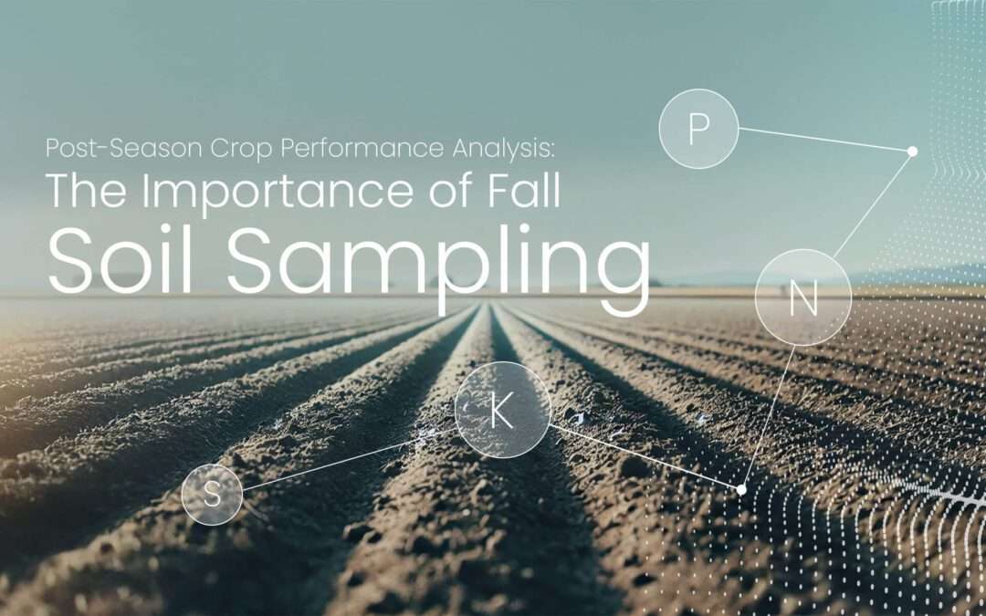 Alt="Soil with nutrient overlays highlighting residual nutrient levels from post-season crop performance analysis."